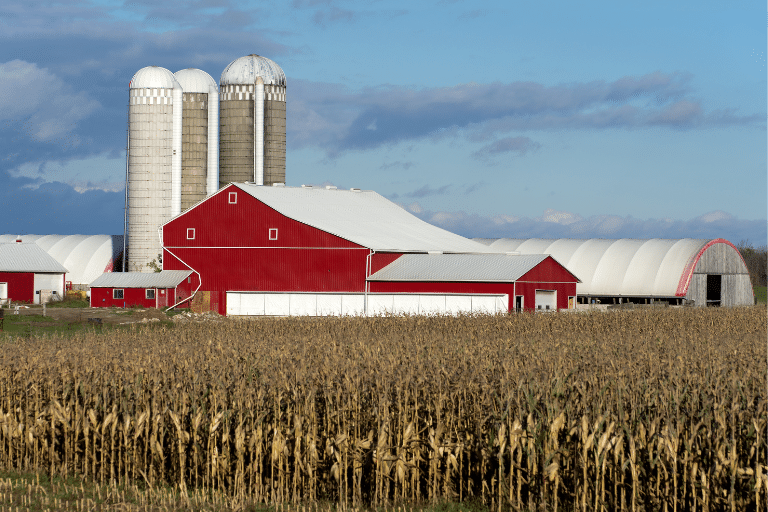 Huron County Man Dies in Grain Bin Accident