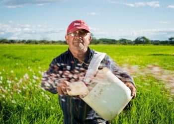 Paraquat Herbicide Lawsuits