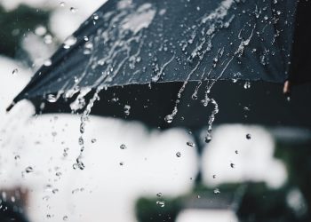 Umbrella Coverage